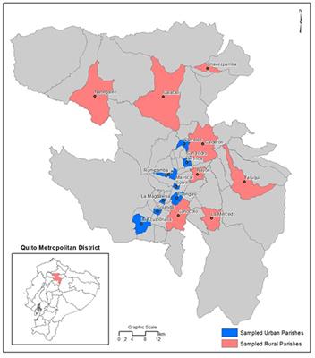 Free-Roaming Dog Surveys in Quito, Ecuador: Experiences, Lessons Learned, and Future Work